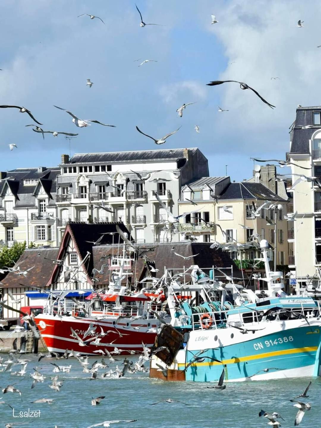 Studio de charme à Trouville sur mer. Esterno foto
